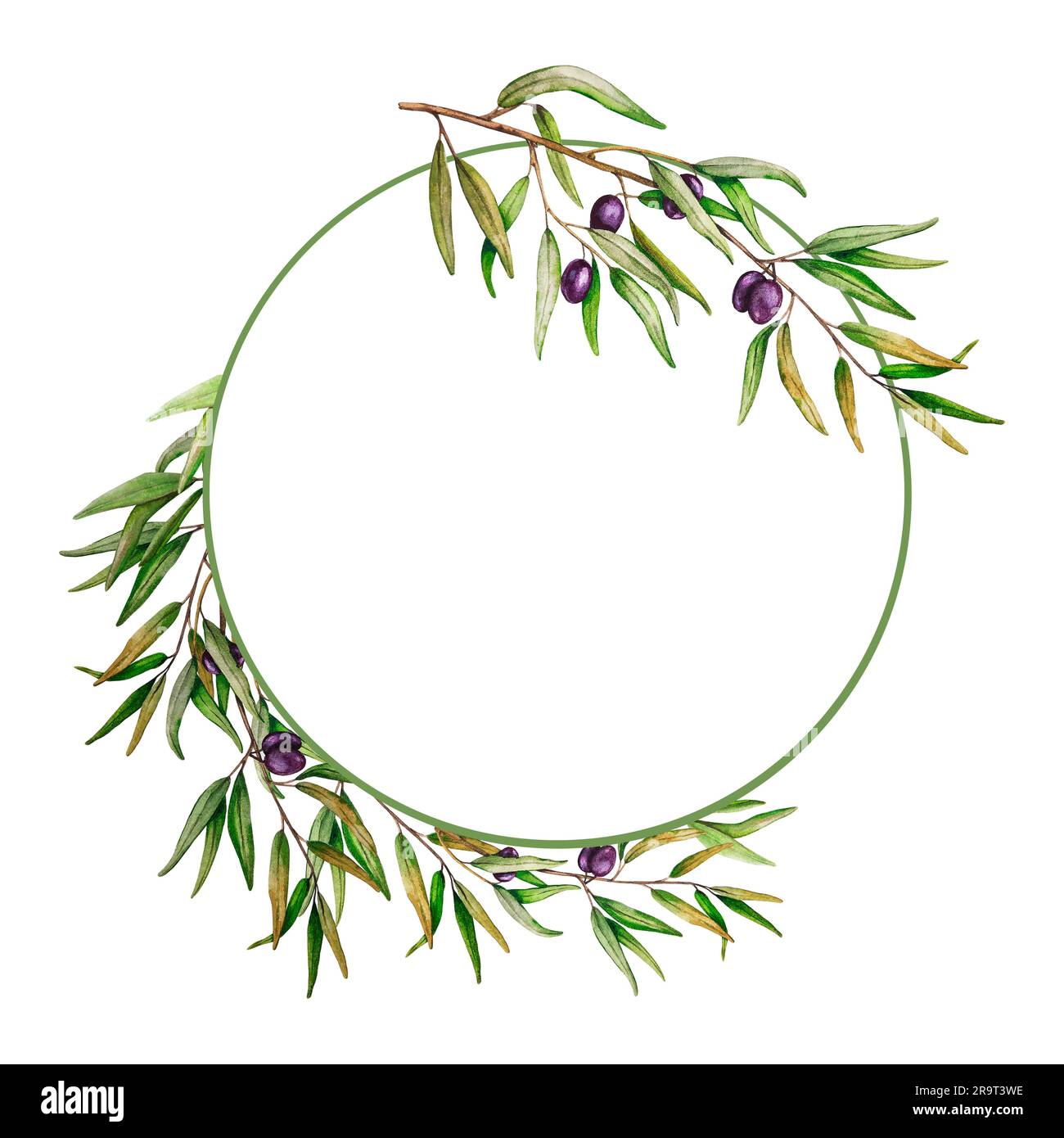 Watercolor wreath of olive branches with fruits. Hand painted floral