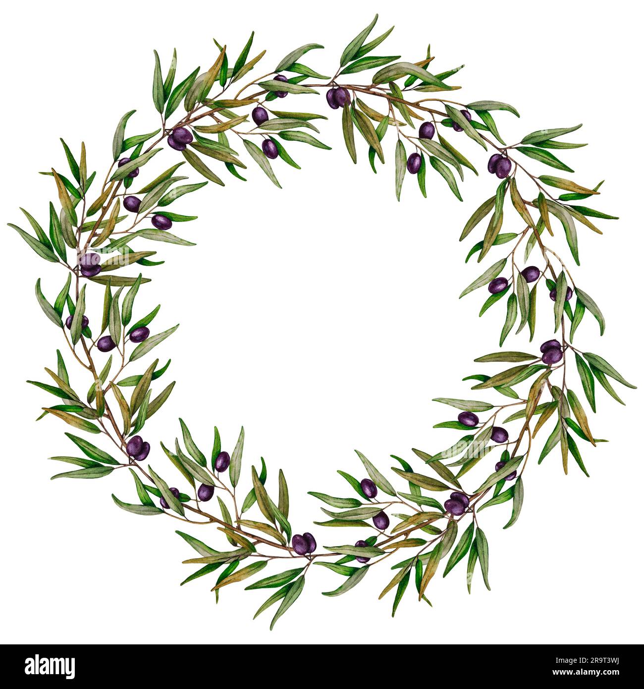 Watercolor green olive branch set. Hand painted floral illustration with  olive fruit and tree branches with leaves isolatedon white background. For  design, print and fabric. ilustração do Stock