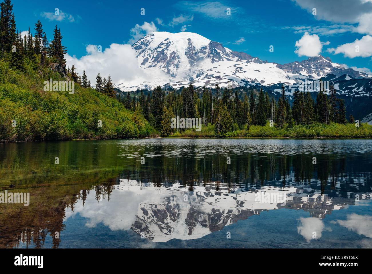 Mount Rainier reflected on to Bench Lake Stock Photo