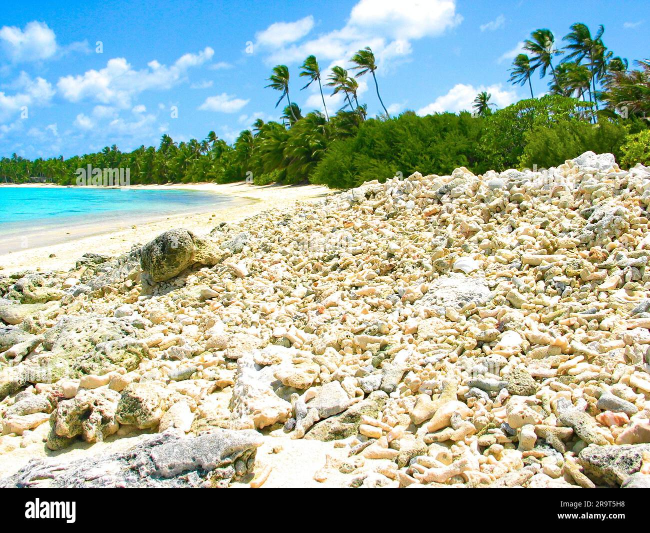 Coconut palms and coral rubble on the beach at Cocos Keeling Islands. Stock Photo