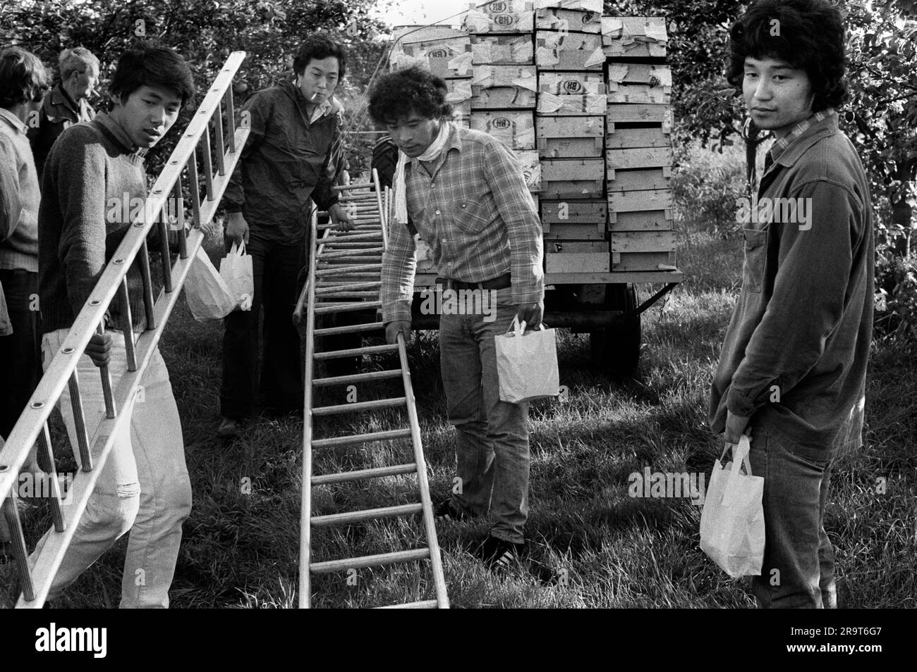 Foreign overseas students seasonal fruit picking. They each carry a packed bag that contains they lunch provided by the farm. The fruit farm is, Ayers and Son, Common Lane, Elm, Wisbech. Wisbech, Cambridgeshire, England circa 1977. 1970s UK HOMER SYKES Stock Photo