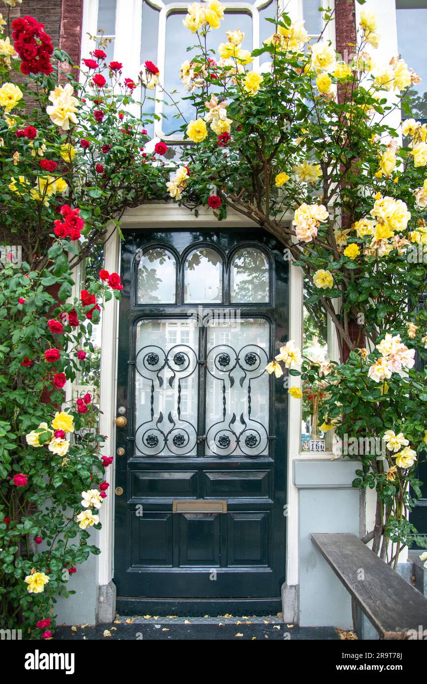 roses around the entryway door to a home in Amsterdam Stock Photo