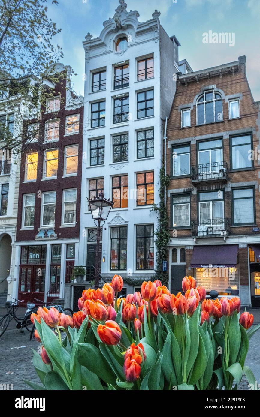 buildings along Single canal with red tulips Stock Photo