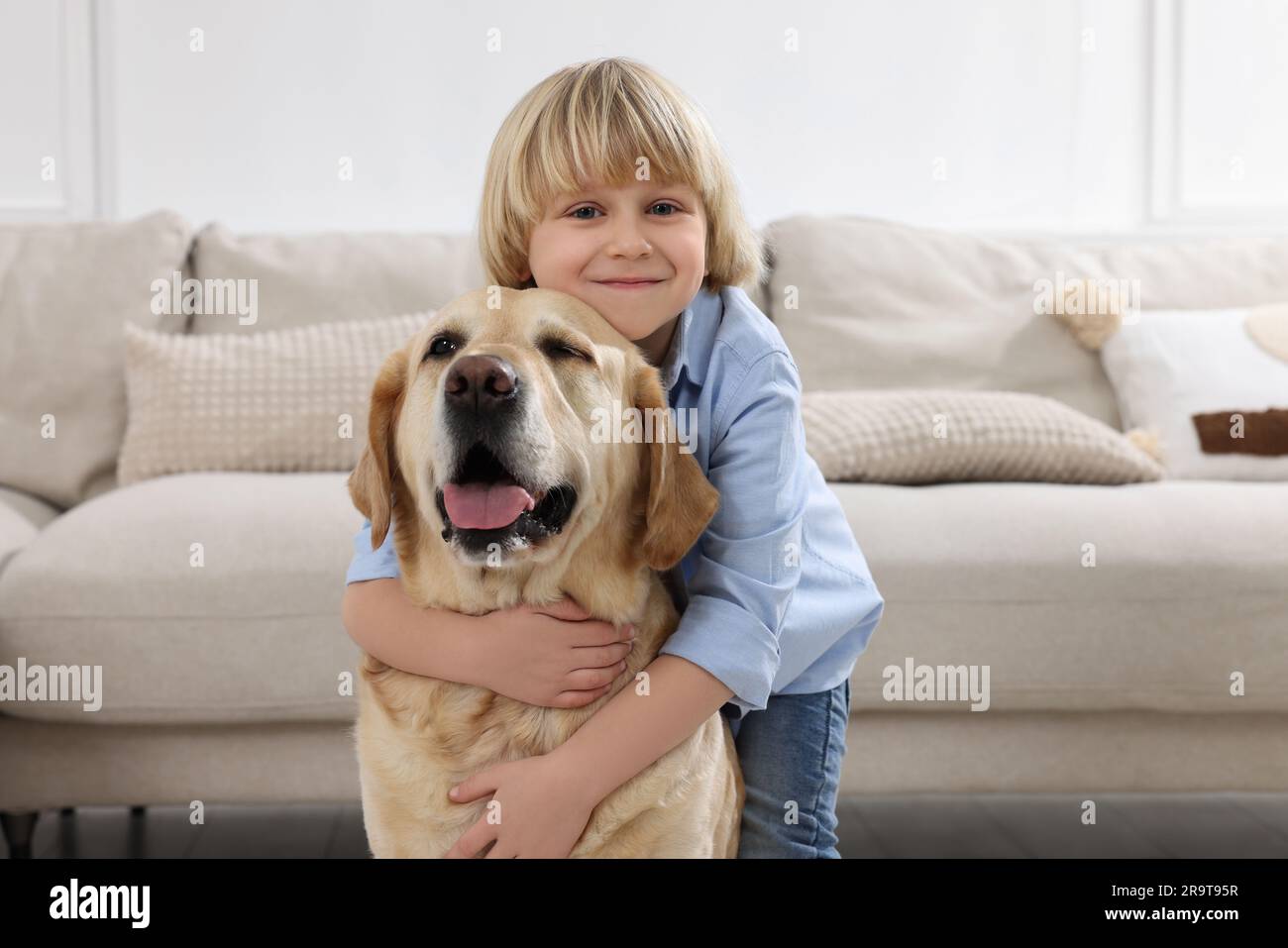 GROOM your GOLDEN RETRIEVER at HOME like a BOSS!