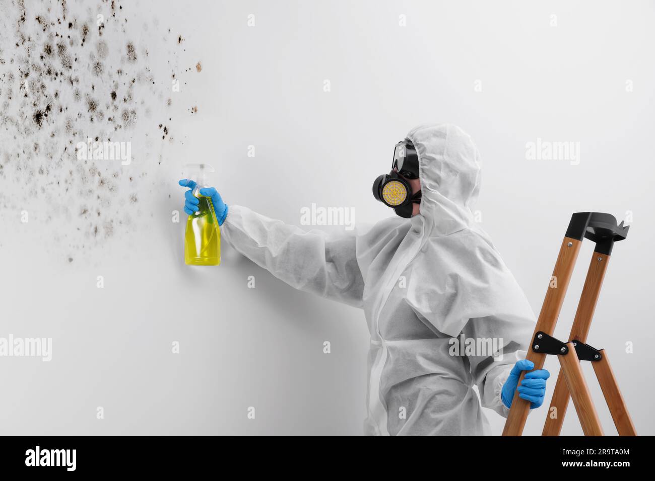 Woman in protective suit and rubber gloves using mold remover on wall Stock Photo