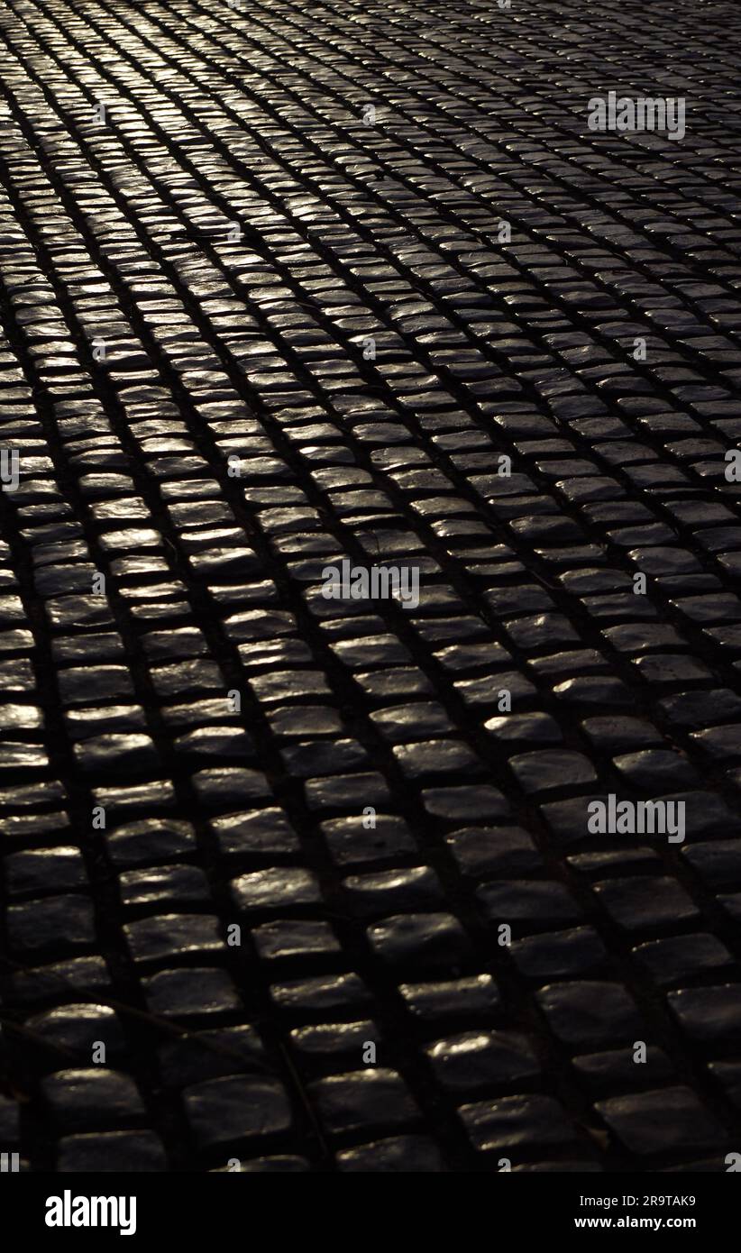 Black cobblestone pavement in the evening Stock Photo