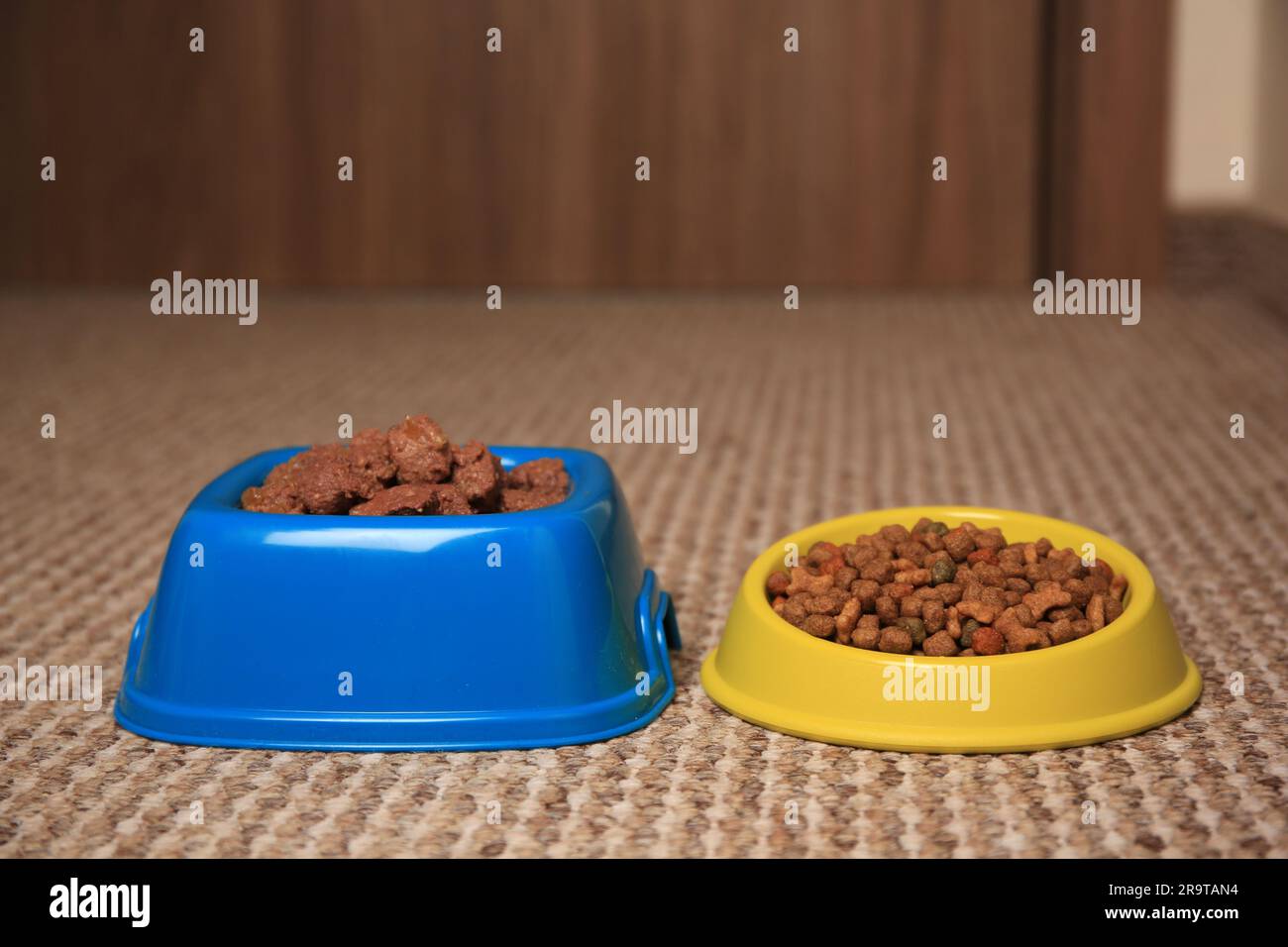 Dry and wet pet food in feeding bowls on soft carpet Stock Photo Alamy