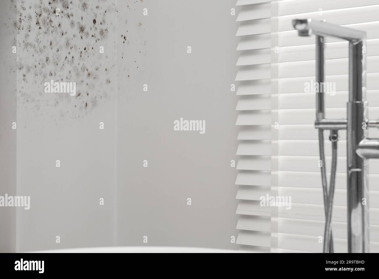 White walls affected with mold in bathroom Stock Photo - Alamy