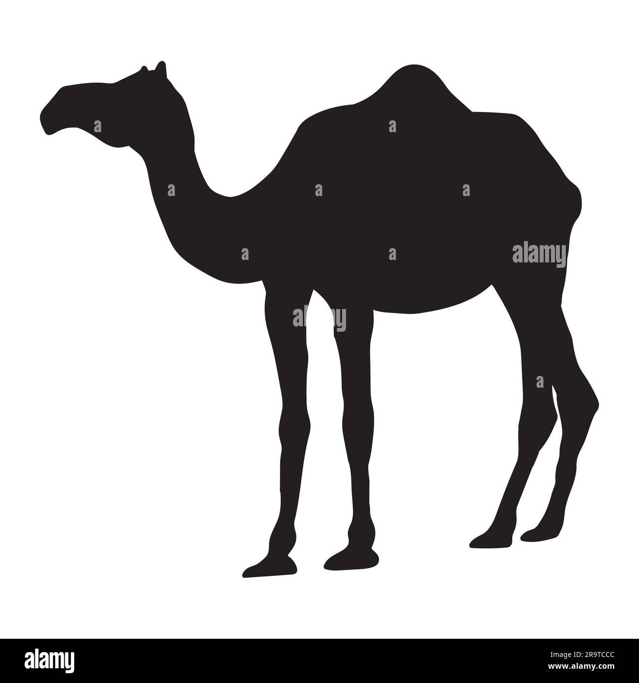 CAMEL SILHOUETTE IN BLACK COLOR, SINGLE HUMPED DROMEDARY Stock Vector