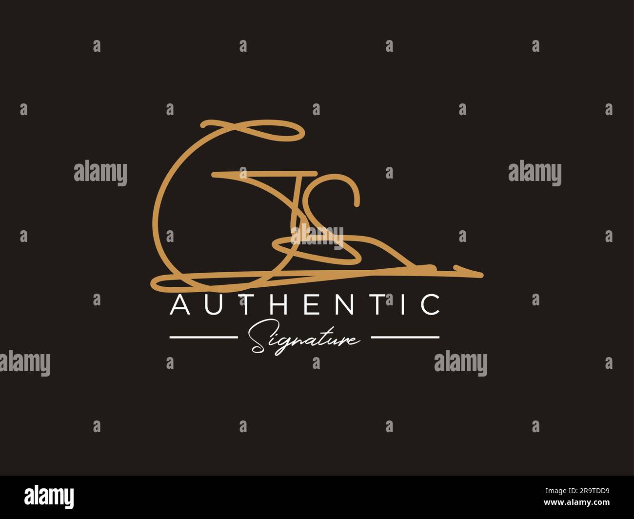 GS Signature Logo Template Vector Stock Vector Image & Art - Alamy