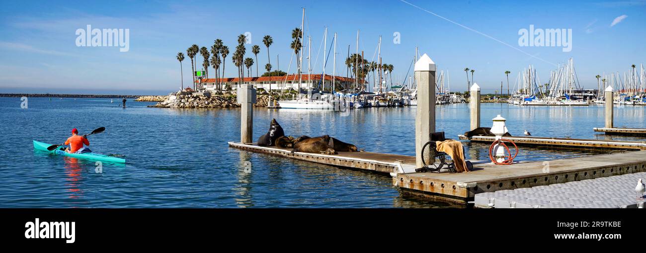 Man in kayak leaving dock, Oceanside, California, USA Stock Photo