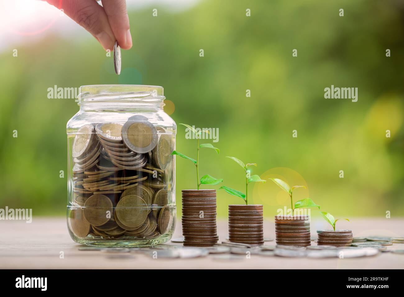 Hand putting money coin. Money coin stack growing graph with piggy bank ...