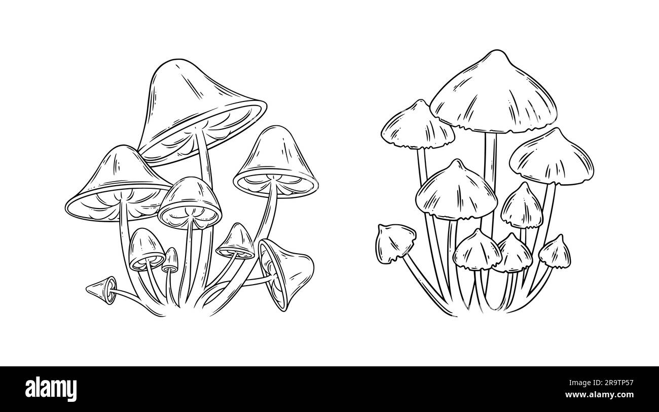 Poison mushrooms set. Magic mushrooms for wicca rituals. Vector illustration isolated in white background Stock Vector
