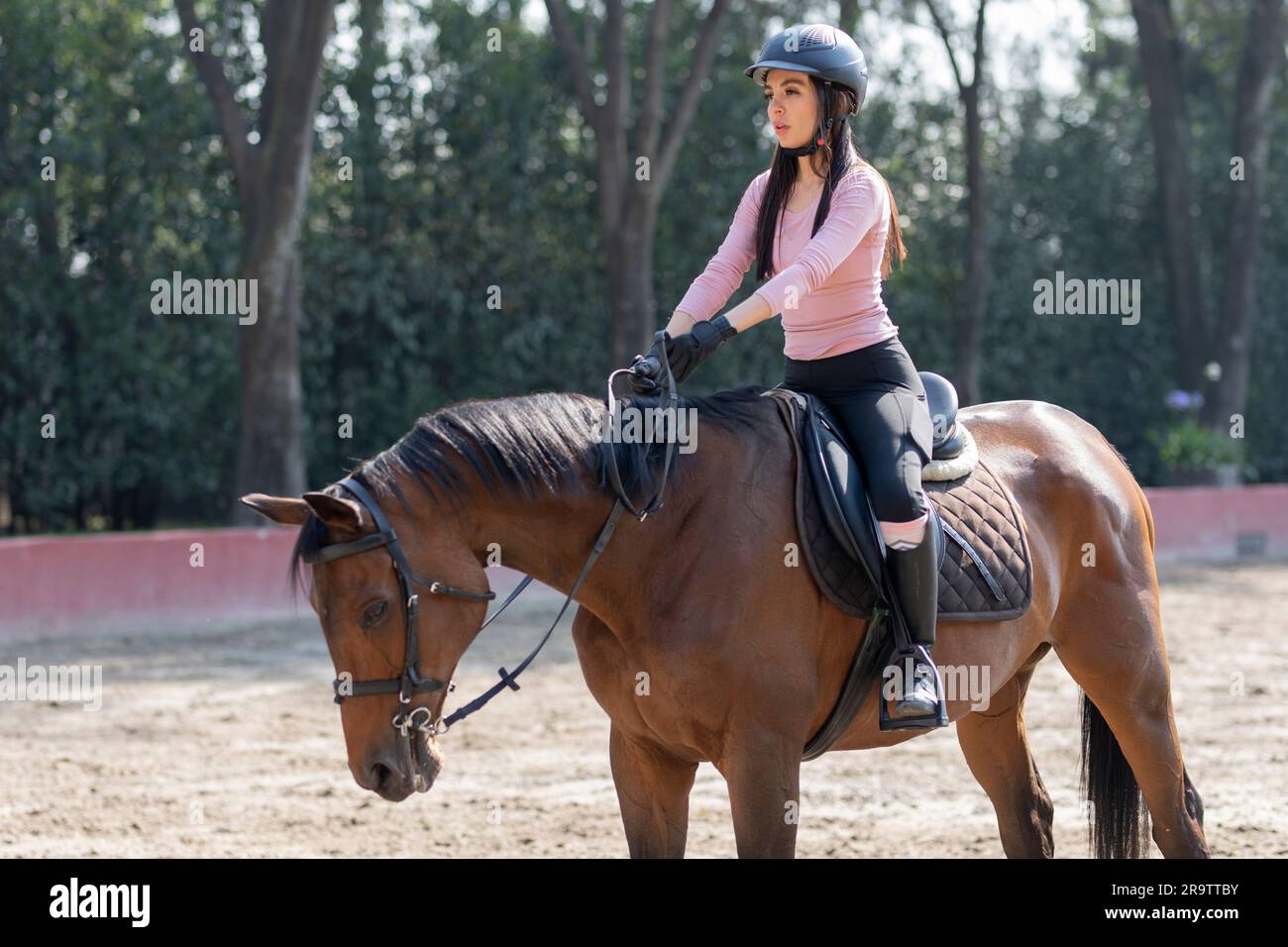 Man learning horse riding hi-res stock photography and images - Alamy