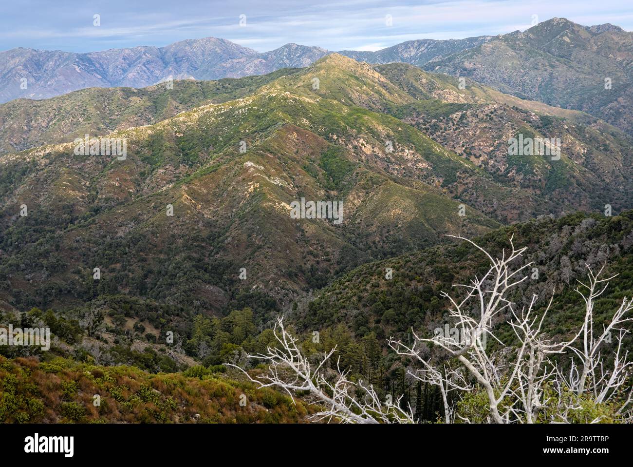 Beautiful mountain view dry hi-res stock photography and images - Alamy