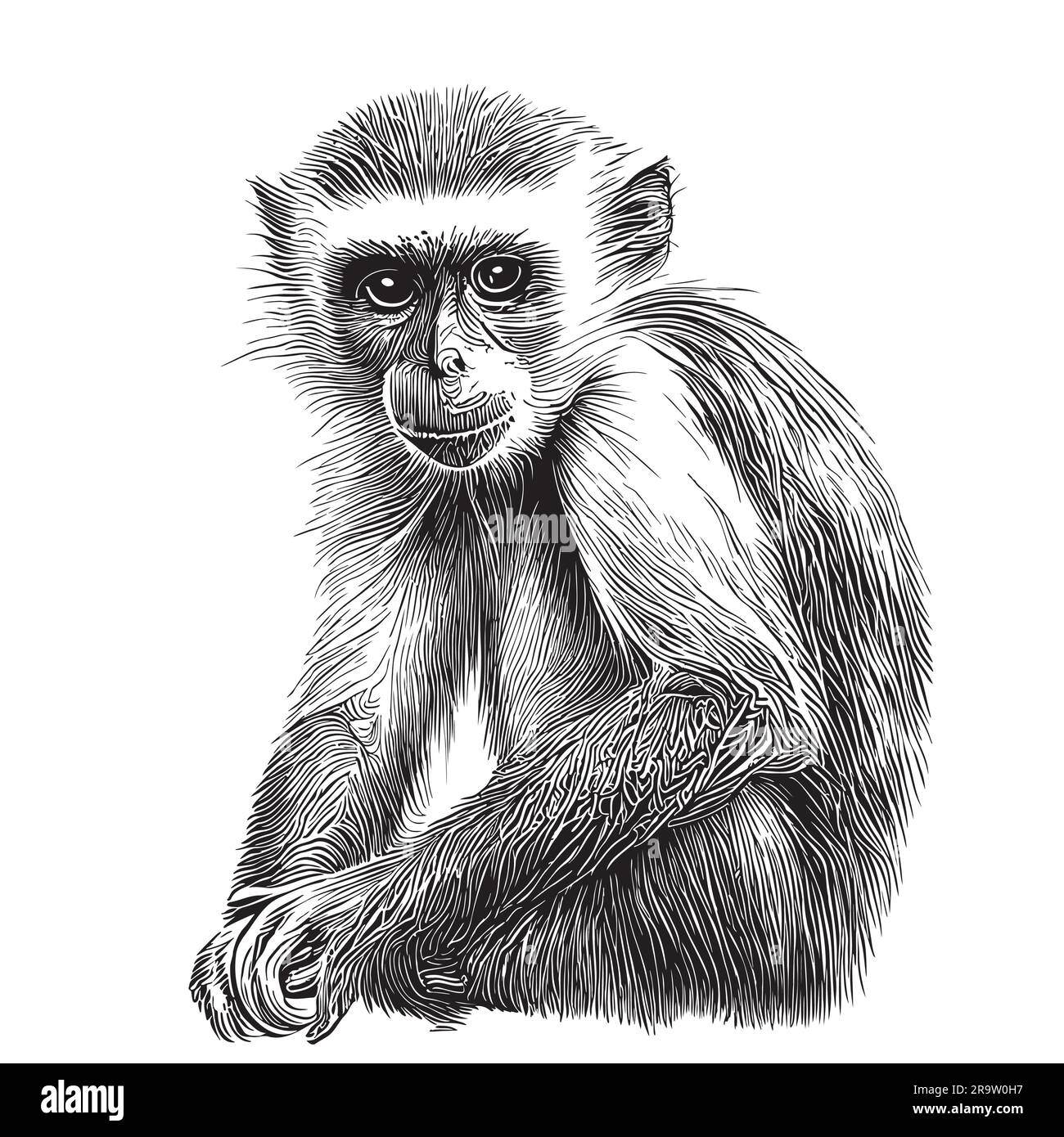 17,706 Monkey Sketch Images, Stock Photos & Vectors | Shutterstock