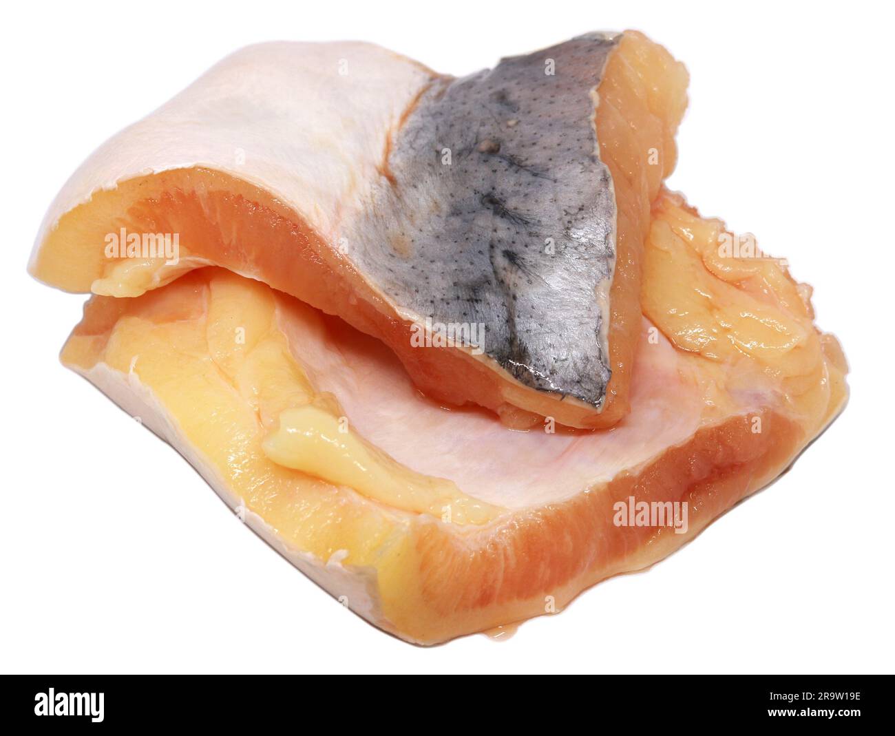 Uncooked Pangasius Fish over white background Stock Photo