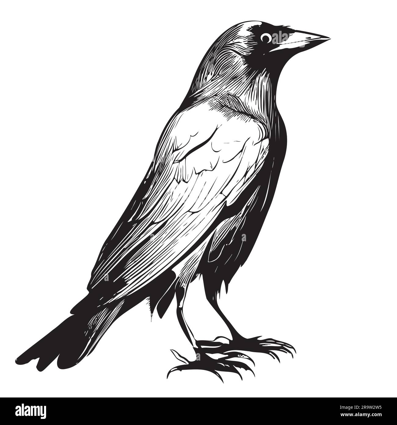 Crow bird hand drawn sketch in doodle style illustration Stock Vector