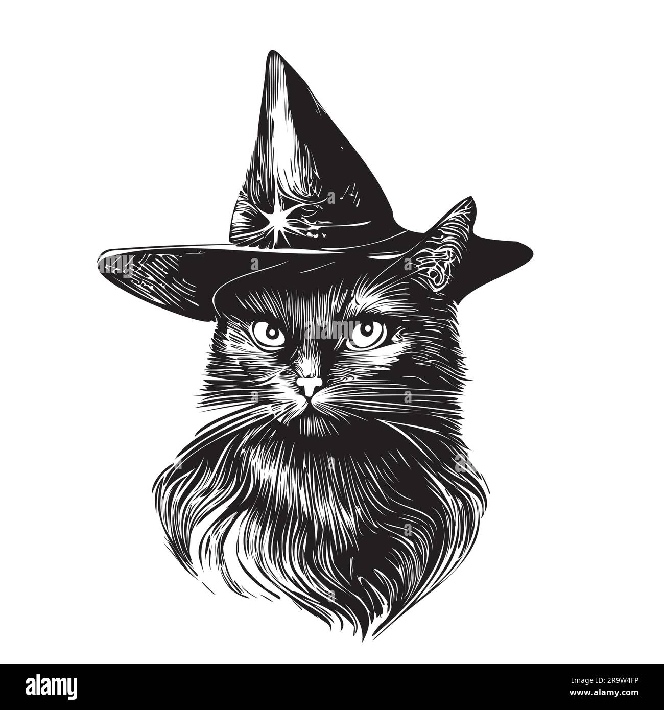 Black cat in hat hand drawn sketch in doodle Halloween style illustration  Stock Vector Image & Art - Alamy