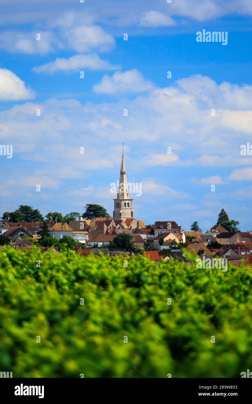 Cote de beaune village hi-res stock photography and images - Alamy