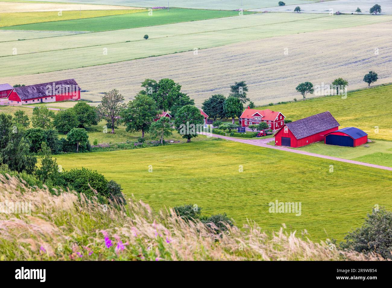 Rural landscape view with a farm by the field Stock Photo - Alamy