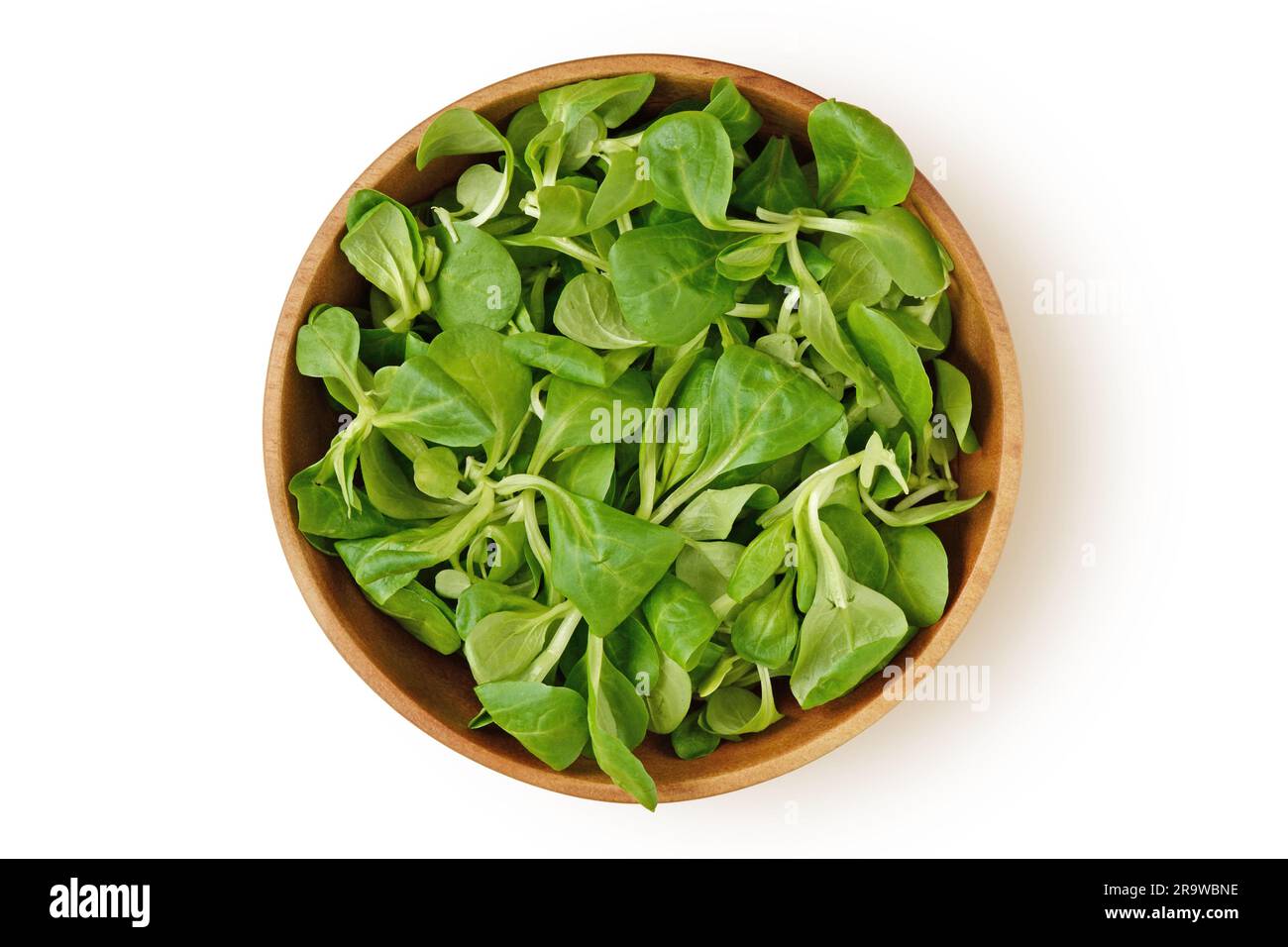 Valerian salad in wooden bowl on white background Stock Photo