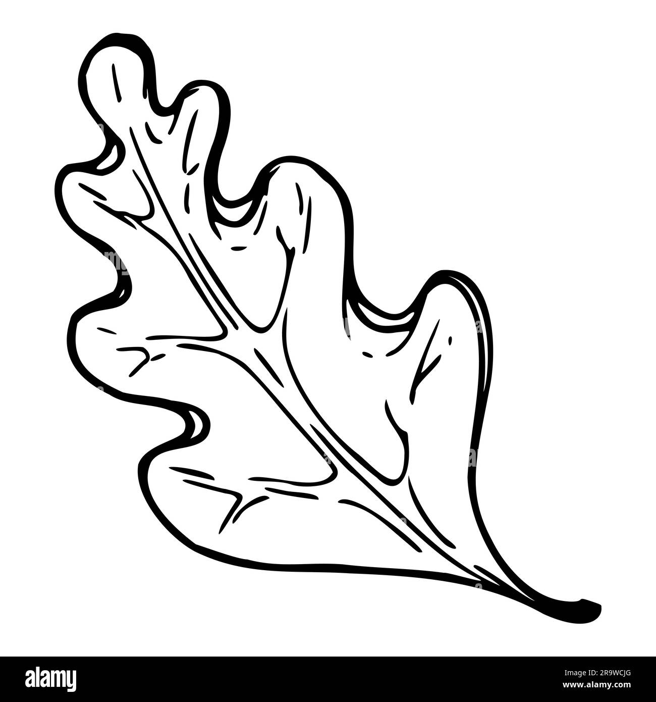 My Image 22