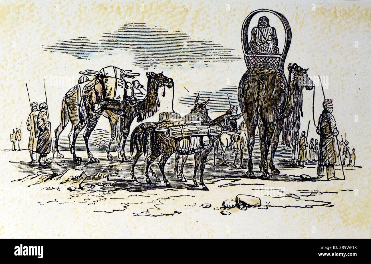 geography / travel, Africa, people, noble ladies riding on camels, May 1854, coloured wood engraving, ARTIST'S COPYRIGHT HAS NOT TO BE CLEARED Stock Photo