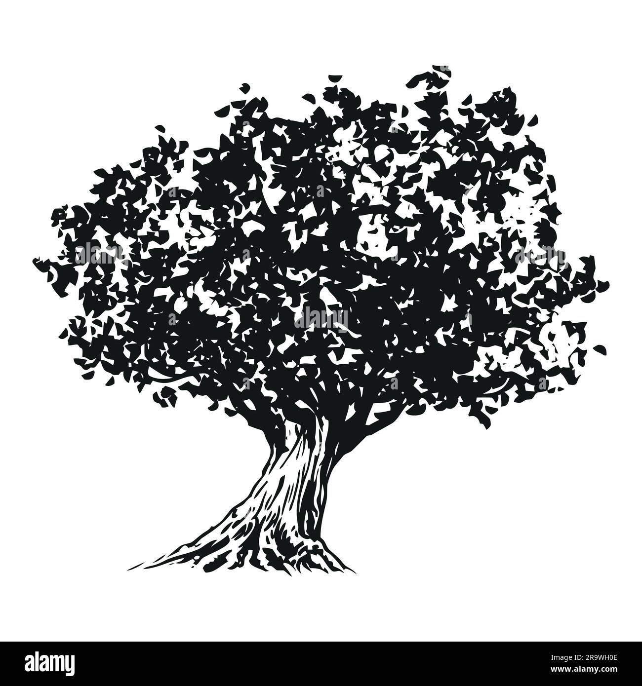 Olive Tree Clipart Black And White