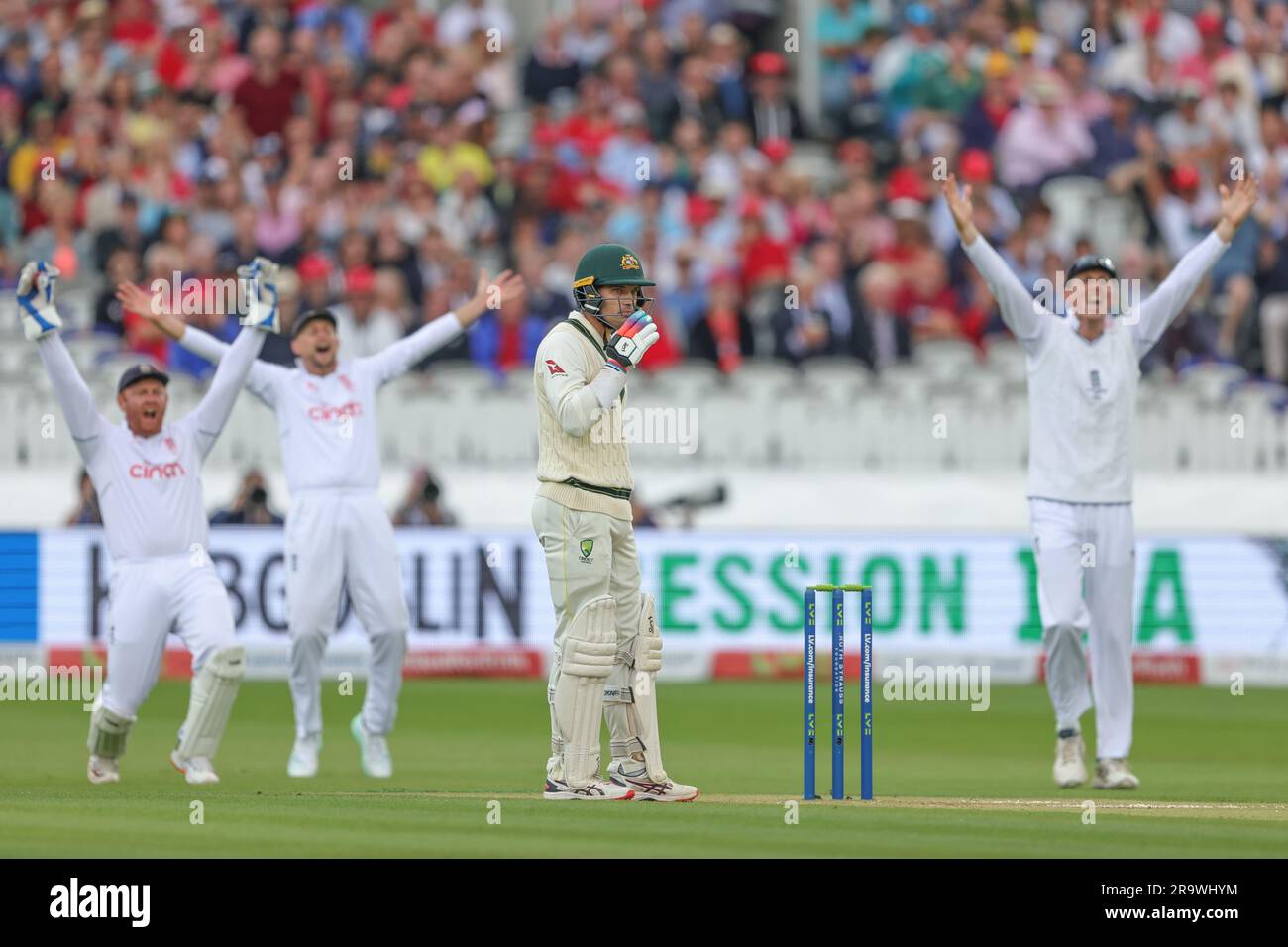 England players appeal after Alex Carey of Australia clips the ball and