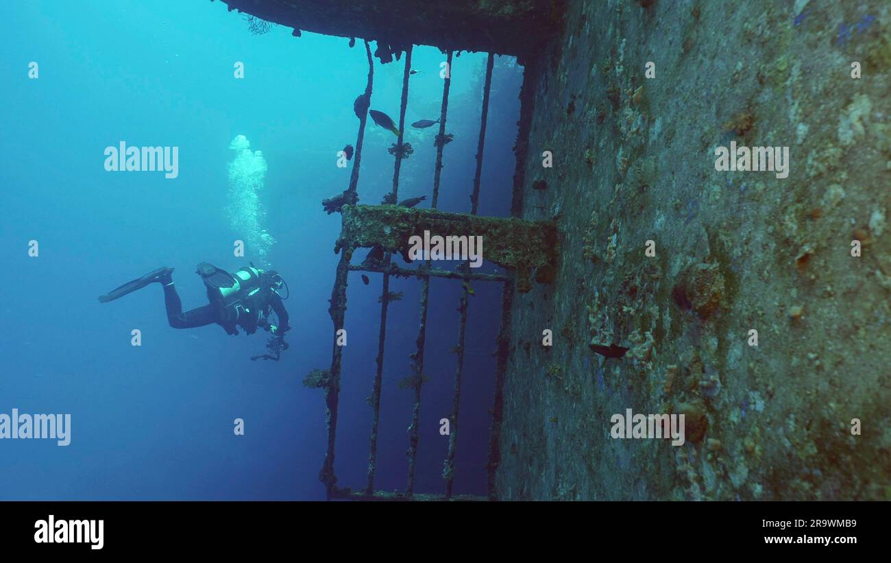 Scuba Diver Filming Deck Of Ferry Salem Express Shipwreck, Red Sea ...