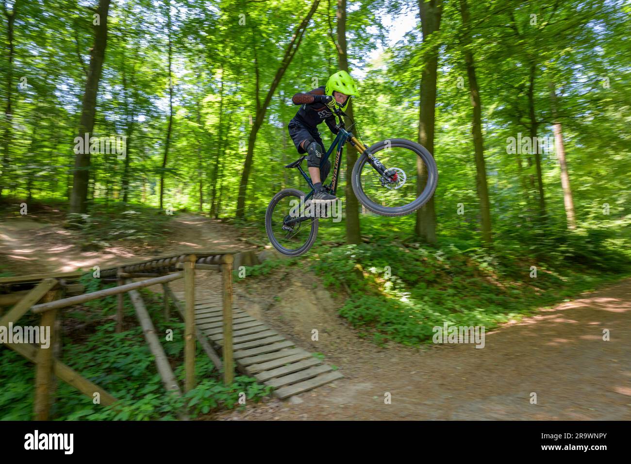 Mountain biker, downhill biker jumps over a ramp on a downhill trail, Gudensberg, Hesse, Germany Stock Photo