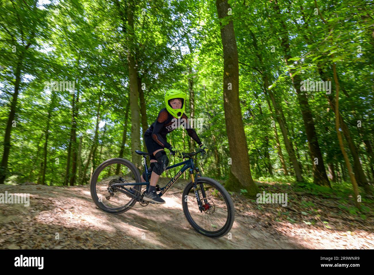 Mountain biker, downhill biker, in the forest, downhill trail, Gudensberg, Hesse, Germany Stock Photo