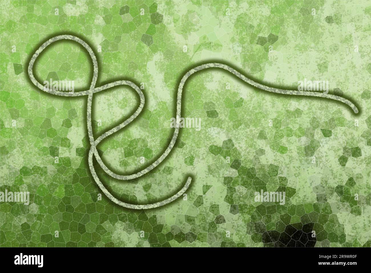 Graphic representation of the Ebola virus on green background Stock Photo