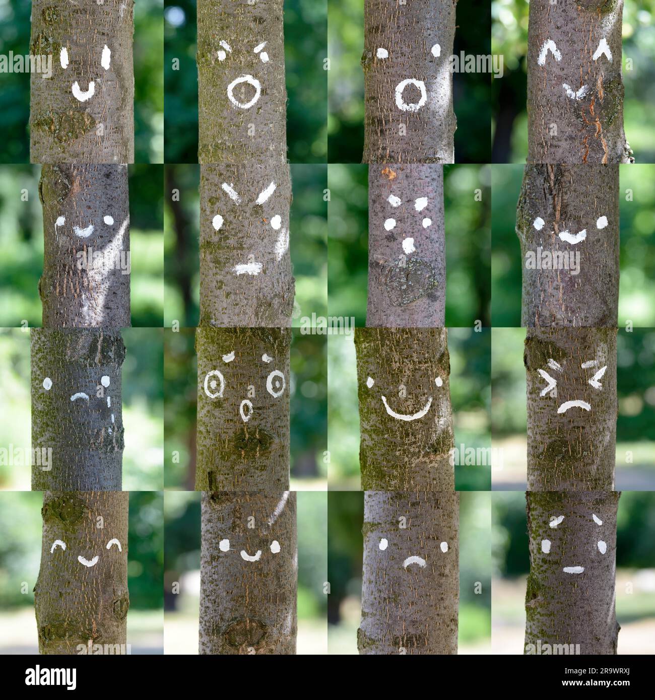 A collection of various smileys painted on tree trunks Stock Photo