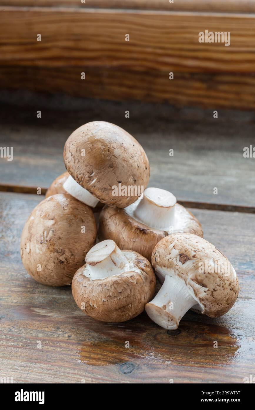 Closeup of fresh brown champignons mushrooms (Agaricus bisporus), on wood Stock Photo