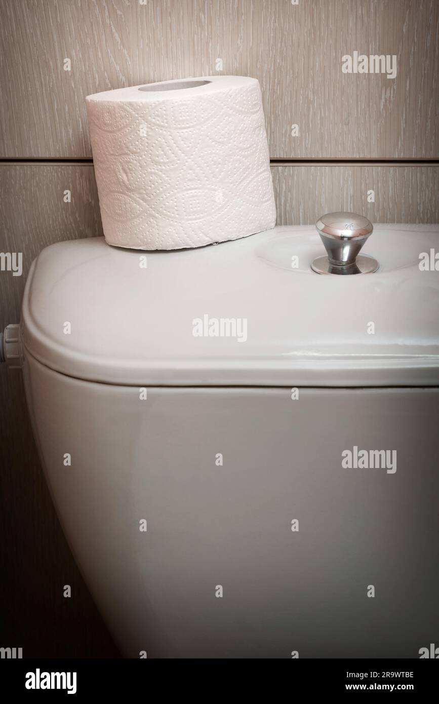 A soft white hygienic toilet paper roll is put on the flush, in the restroom Stock Photo Alamy