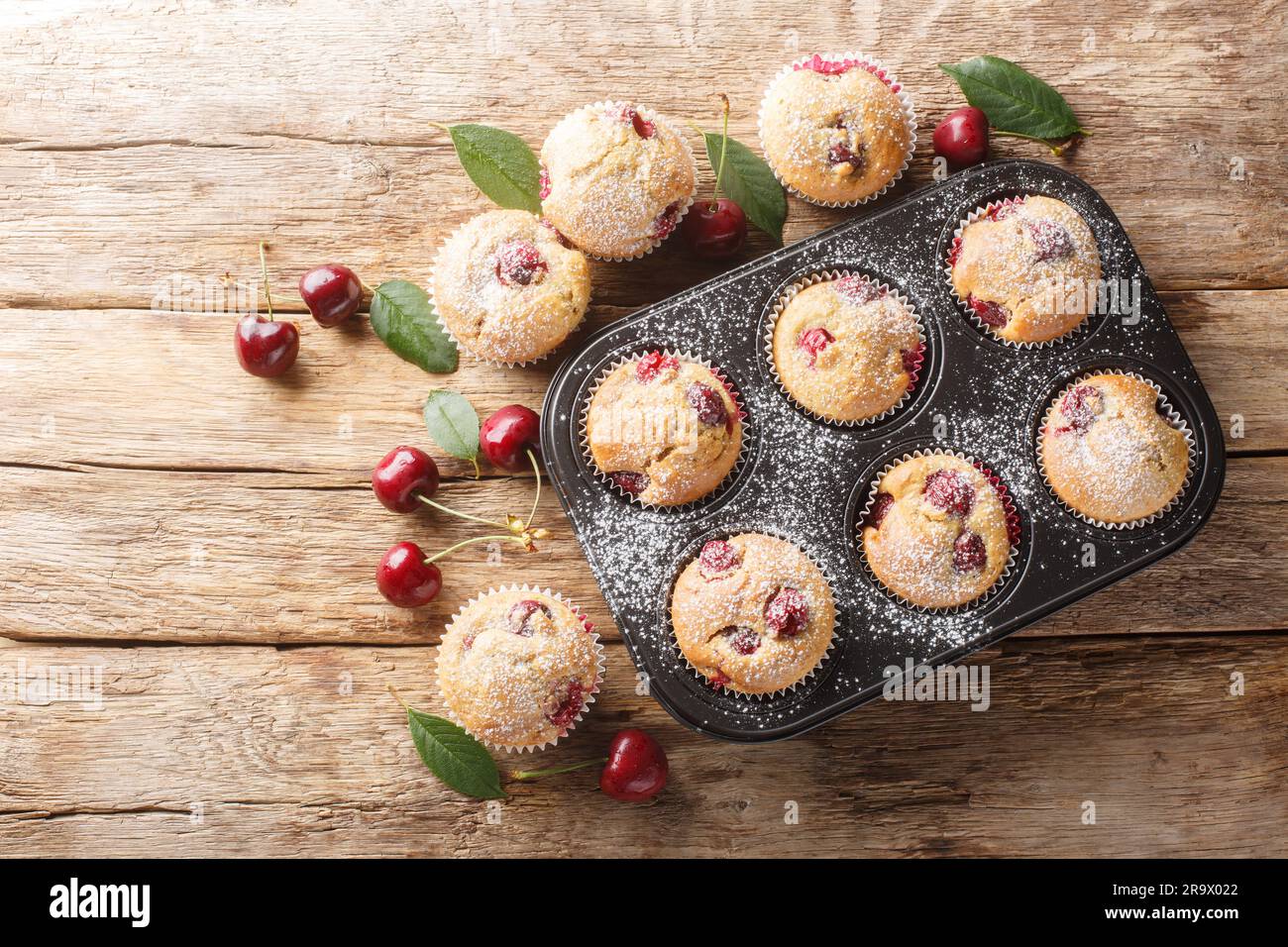 Muffins with fresh cherries sprinkled with powdered sugar close-up in a muffin tin on the table. Horizontal top view from above Stock Photo