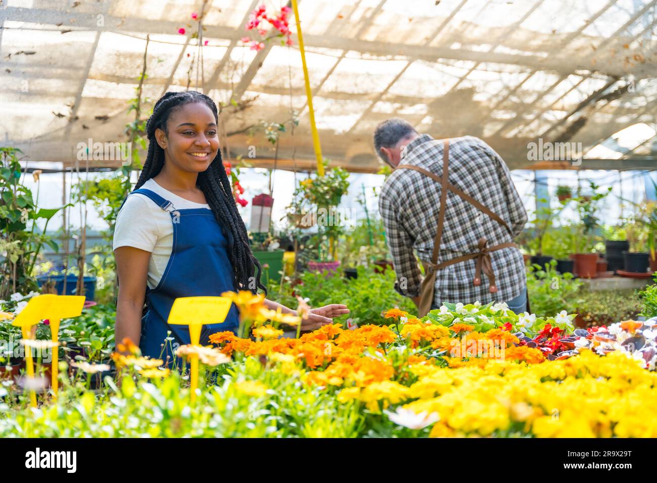 Black ethnic female flower nursery worker checking plants in greenhouse