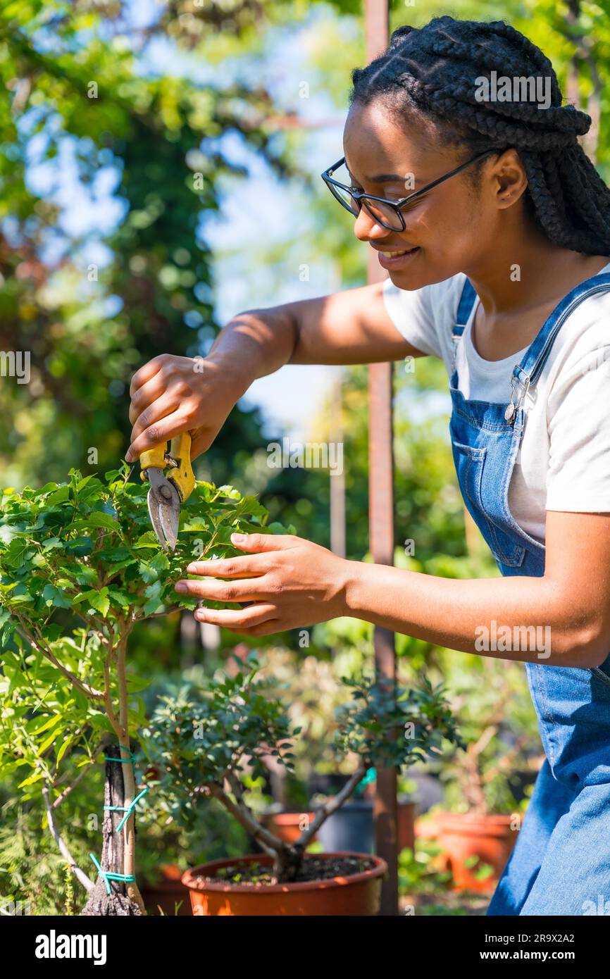 Black ethnic woman with braids gardener working in the nursery inside the greenhouse Stock Photo