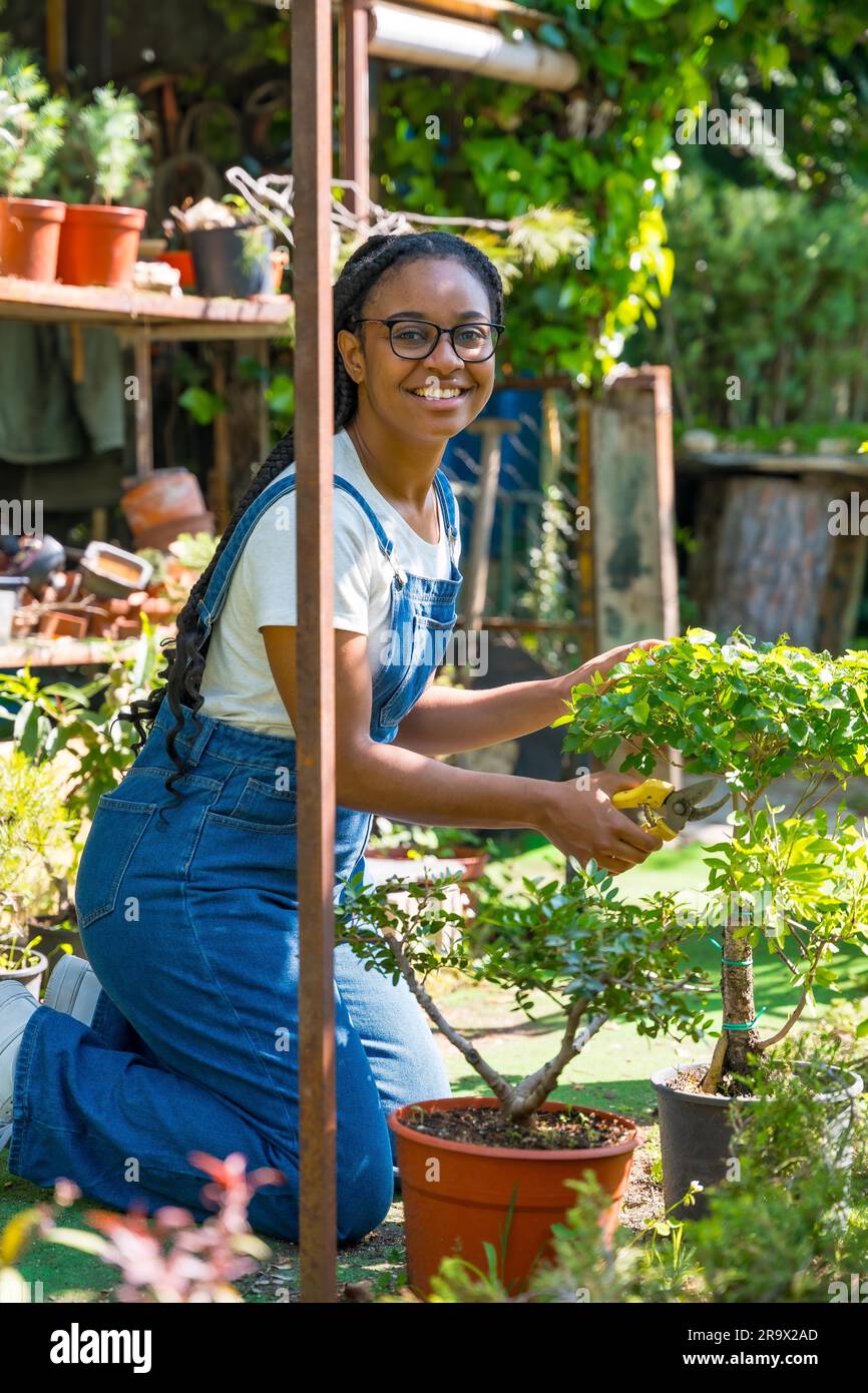 Portrait of black ethnic woman with braids gardener working in the nursery inside the greenhouse cutting the bonsai trees Stock Photo