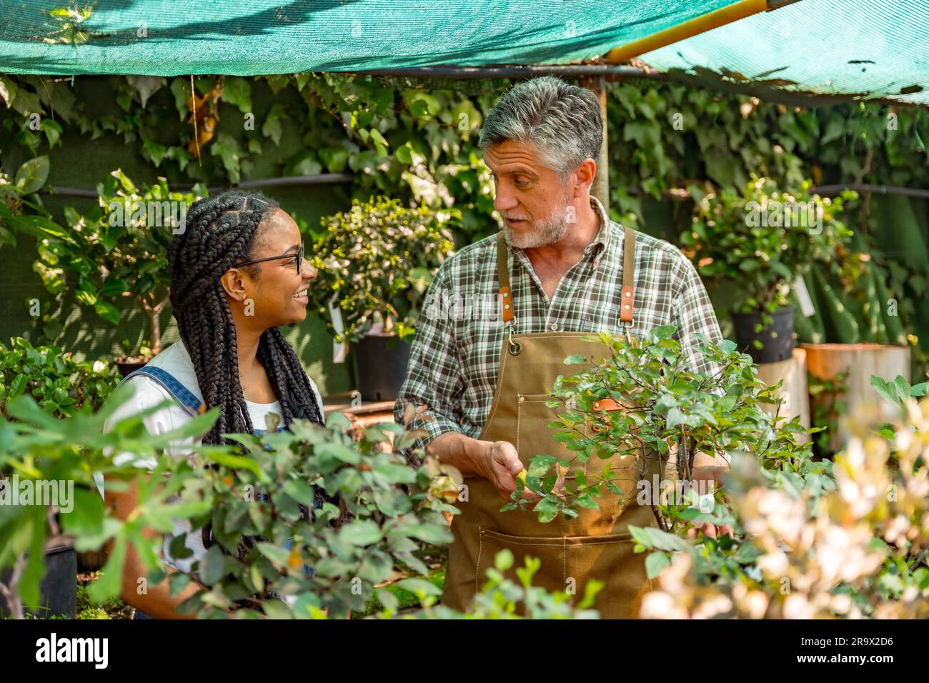 Master gardener teaching student girl flower nursery in greenhouse