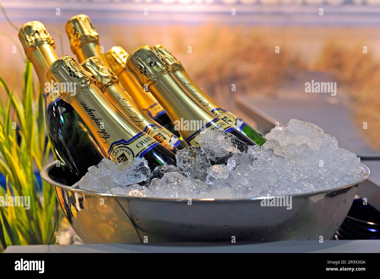 Champagne on ice, champagne cooler, chilled, champagne bottles
