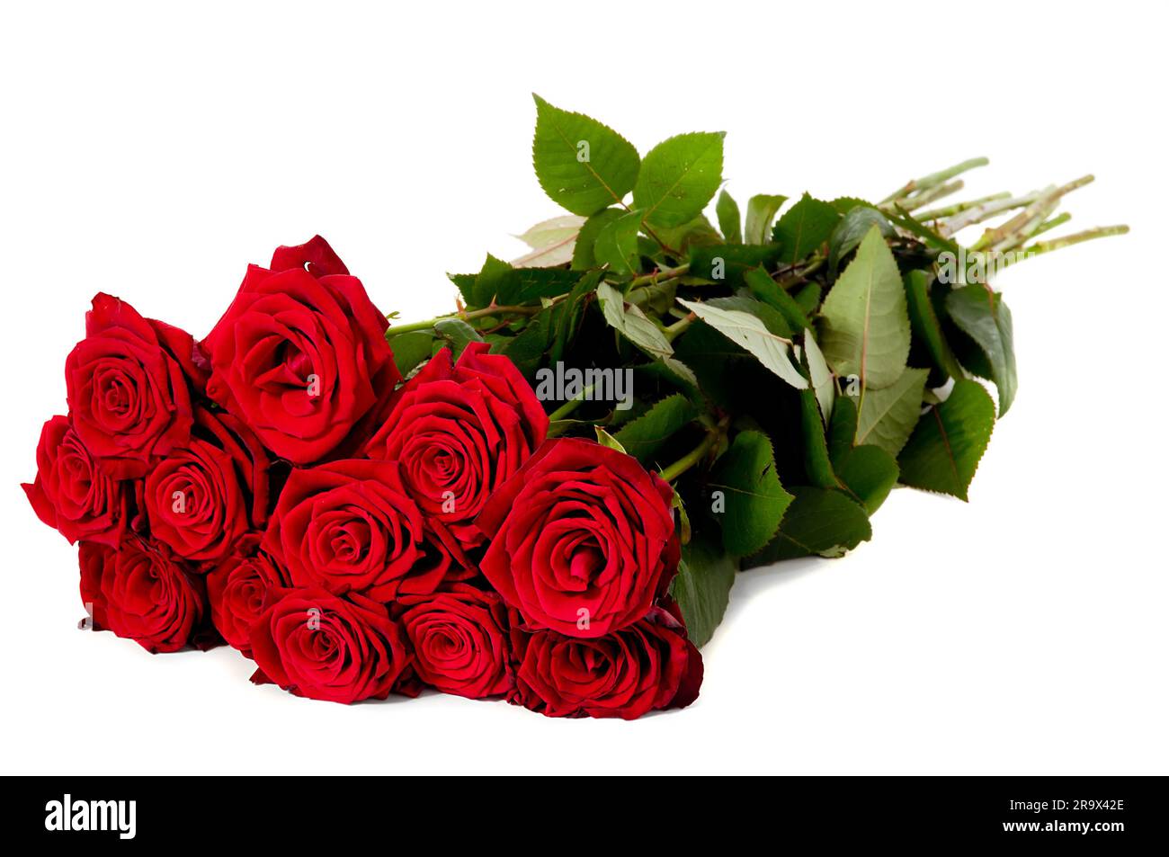 Bouquet of red roses taken on a white background Stock Photo - Alamy