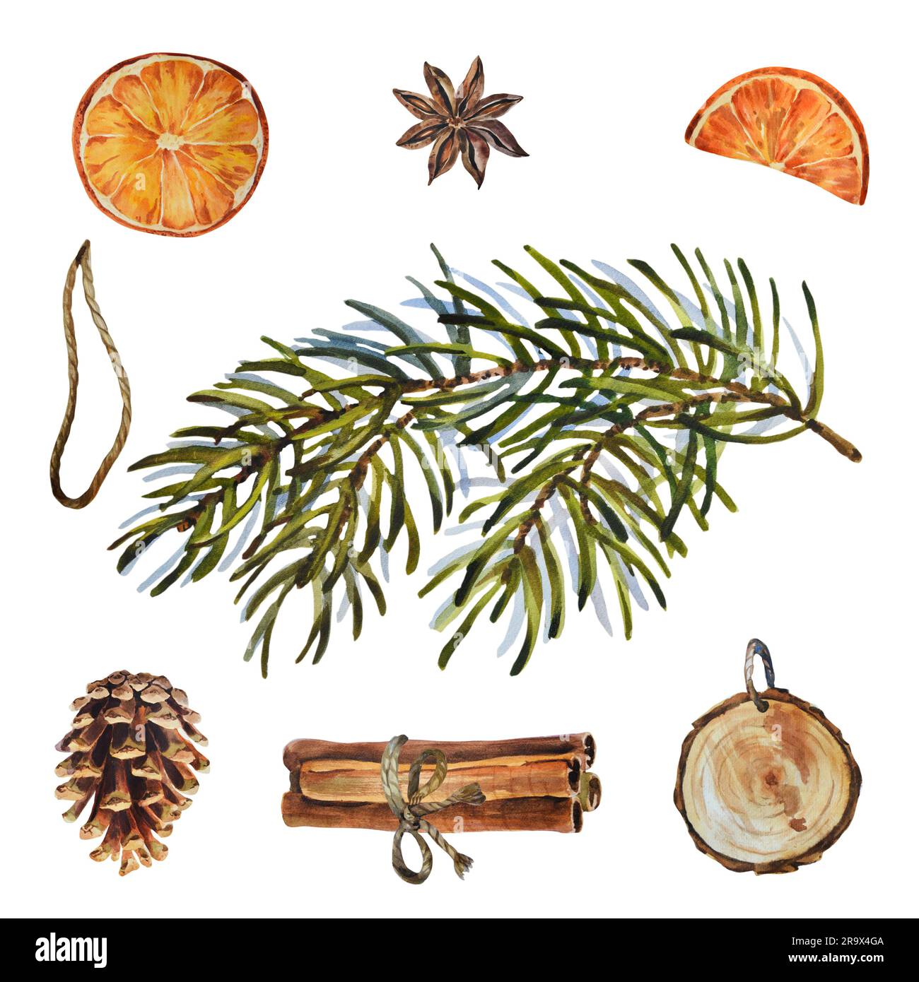 Watercolor Christmas set of fir branch with cones, dry oranges, sticks ...
