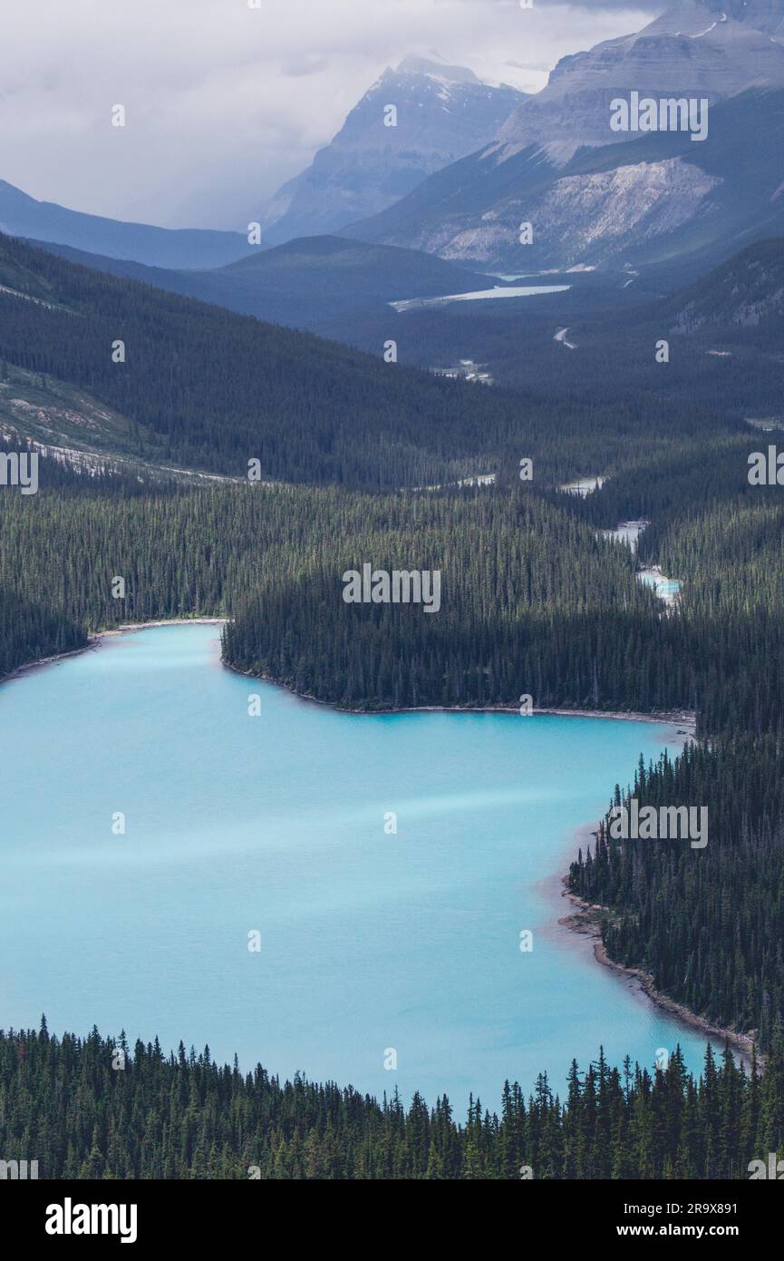 Lake surrounded trees mountain hi-res stock photography and images - Alamy