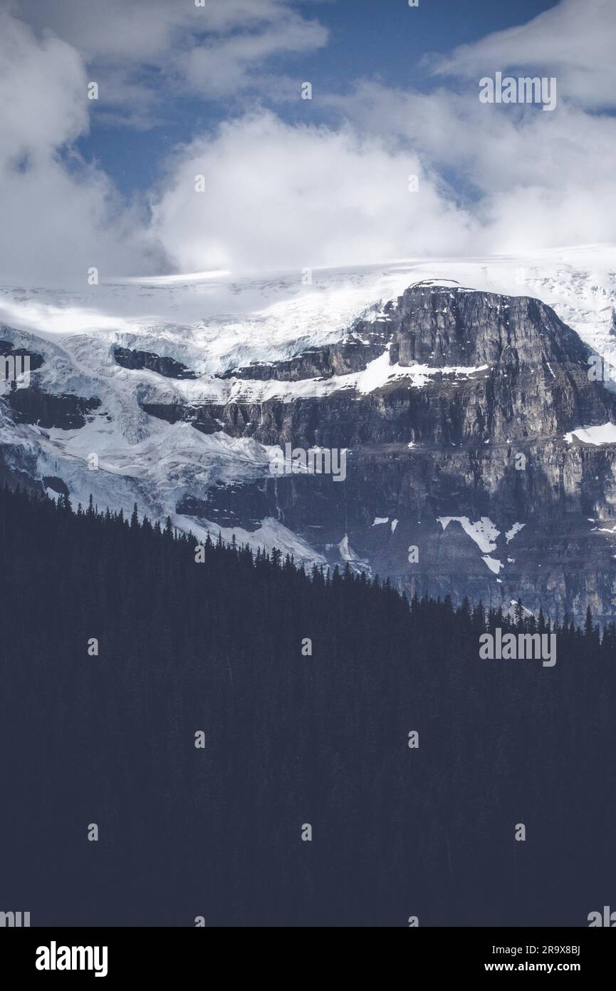 Pine tree forest snow mountain hi-res stock photography and images - Alamy