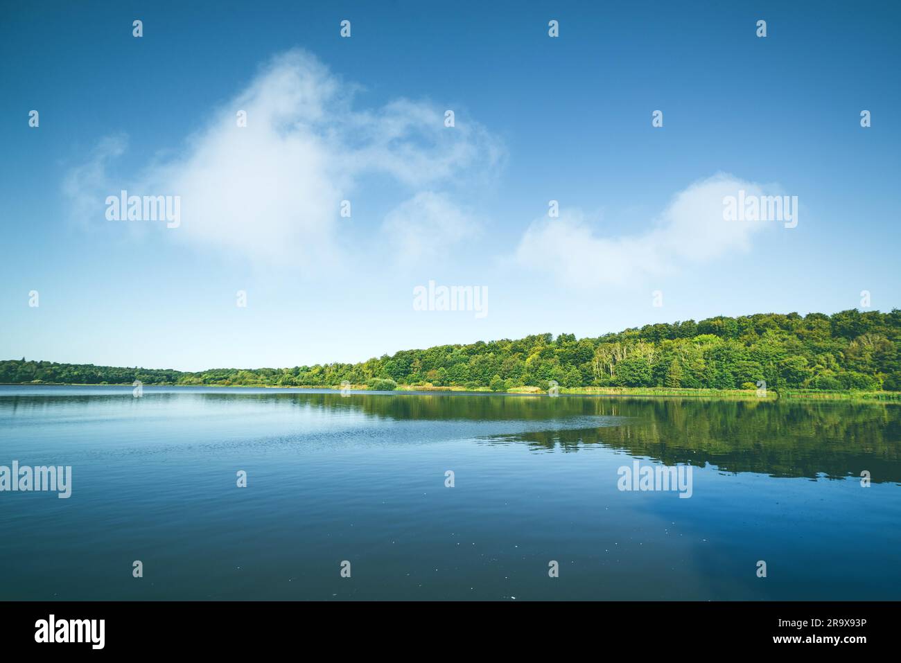 Lake with reflection of green trees in a forest Stock Photo - Alamy