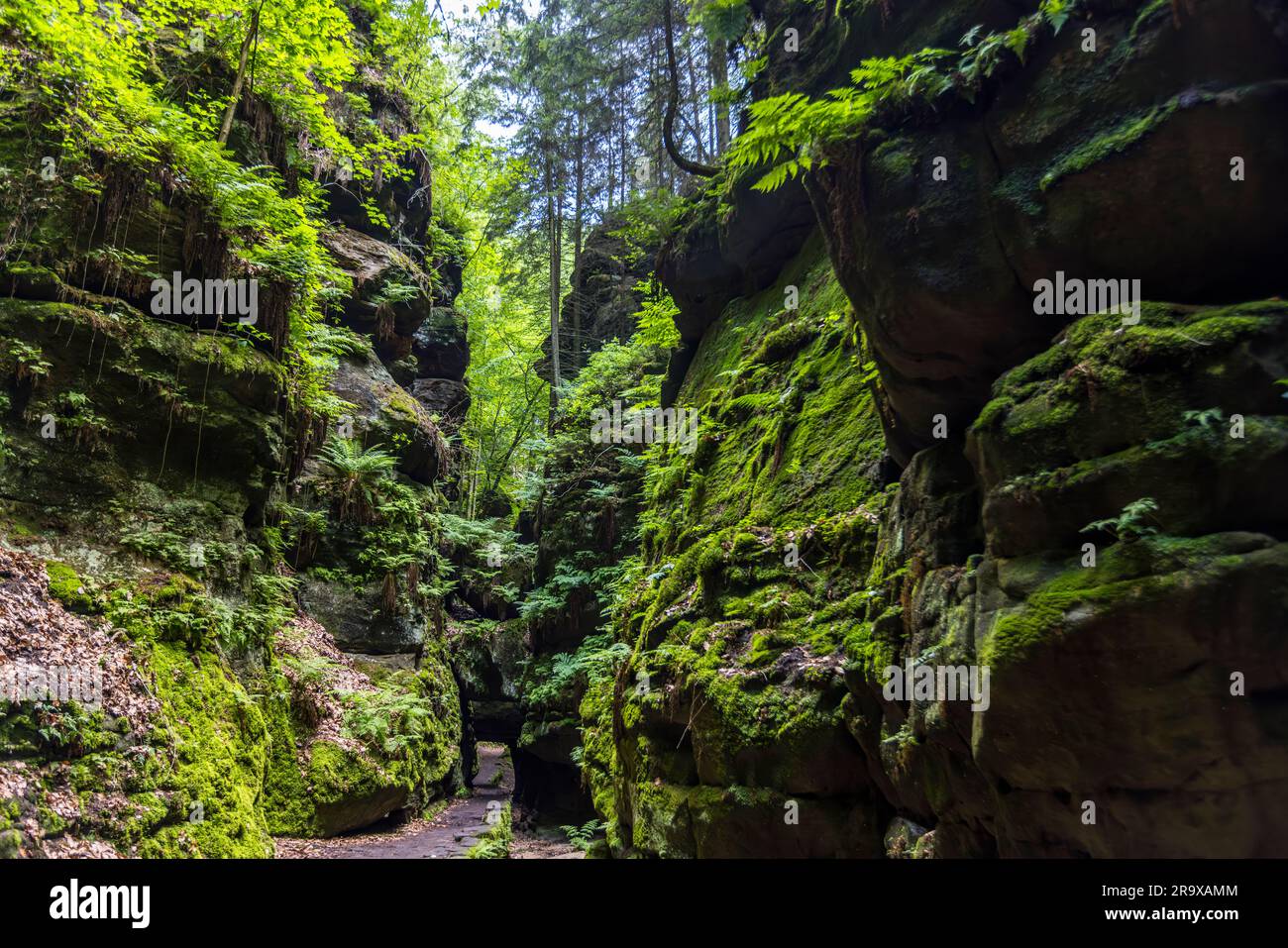 Utterwald rock gate. Elbe Sandstone Mountains. National Park Saxon Switzerland. Motif and place of inspiration of the painter Caspar David Friedrich in the 19th century. Rock gate in Uttewalder Grund on the Painter's Path through Saxon Switzerland. Lohmen/Stadt Wehlen, Germany Stock Photo