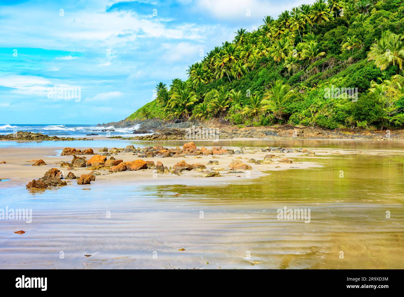 Deserted and rocky beach with forest and coconut trees on top of the hill in Serra Grande in Bahia Stock Photo